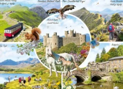 Richard MacNeil - Snowdonia Puzzel (1000 stukjes)