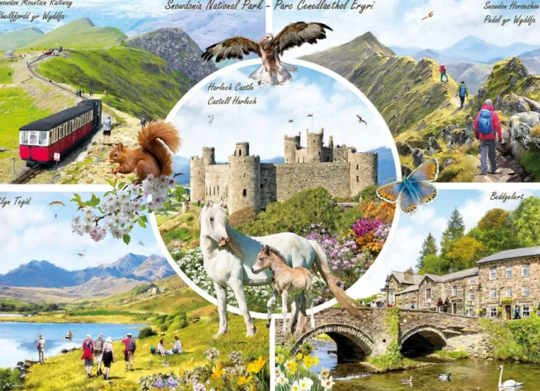 Richard MacNeil - Snowdonia Puzzel (1000 stukjes)