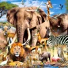 Savanna Animals Puzzel (1500 stukjes)