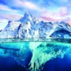 Save the Planet! Arctic Puzzel (1000 stukjes)