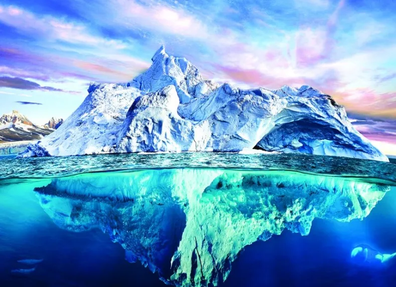 Save the Planet! Arctic Puzzel (1000 stukjes)