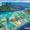 Save the Planet! - Coral Reef Puzzel (1000 stukjes)