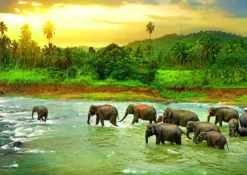 Save the Planet! - Rain Forest Puzzel (1000 stukjes)
