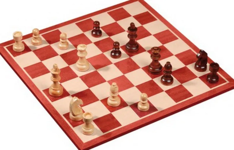 Schaakset (40x40 cm)
