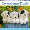 Schattige Puppies Puzzel (200 XXL stukjes)