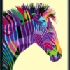 Schilderen op Nummer - Bonte Zebra