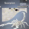 Scorpion Bouwpakket