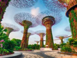 Singapore Puzzel (1500 stukjes)