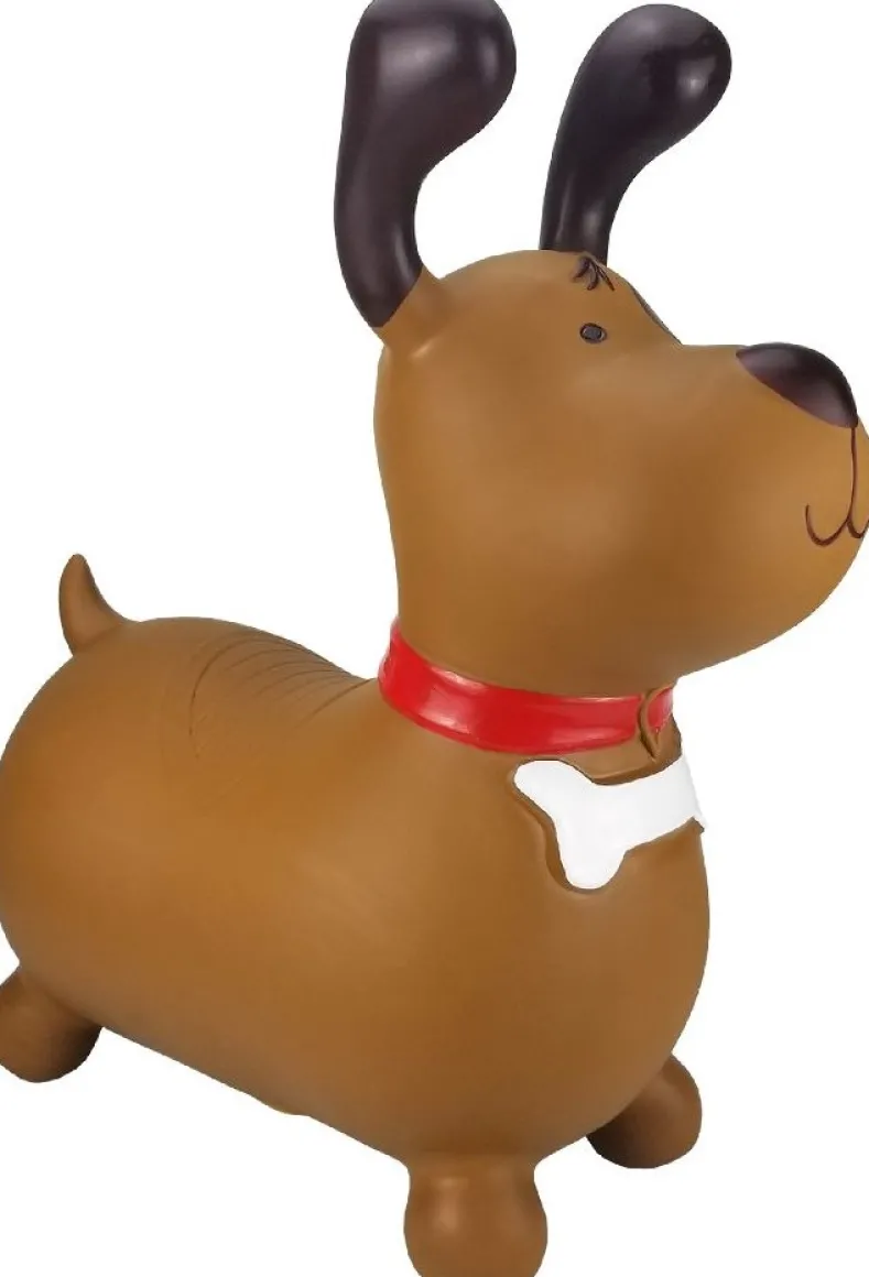 Skippy Buddy - Hond