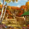 Somewhere in a Field Puzzel (1000 stukjes)