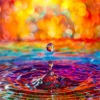 Splash of Life Puzzel (1000 stukjes)