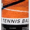 SportX - Tennisballen In Koker (3 stuks)
