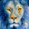 Starry Lion Puzzel (1000 stukjes)