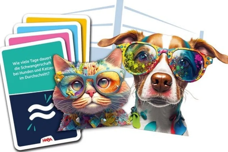 Team Quiz Challenge - Katten versus Honden