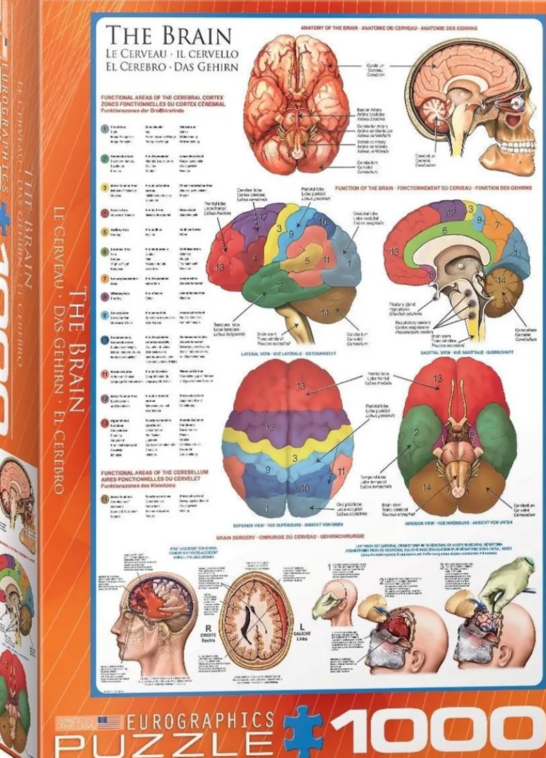 The Brain Puzzel (1000 stukjes)