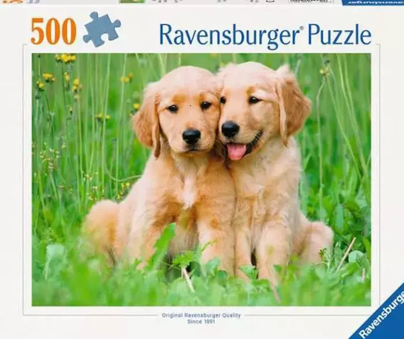 The Golden Retriever Brothers (500 stukjes)