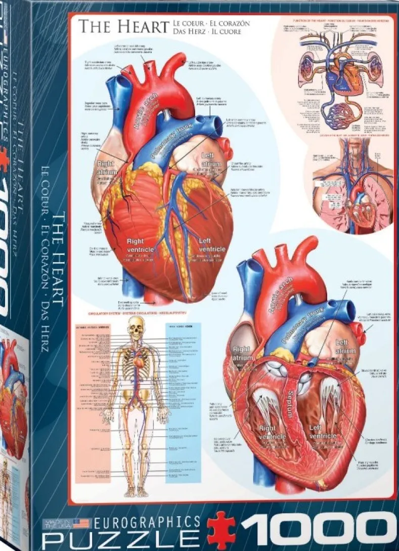 The Heart Puzzel (1000 stukjes)