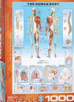 The Human Body Puzzel (1000 stukjes)