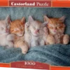 The Sweetest Kittens Puzzel (1000 stukjes)