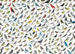The World of Birds Puzzel (1000 stukjes)