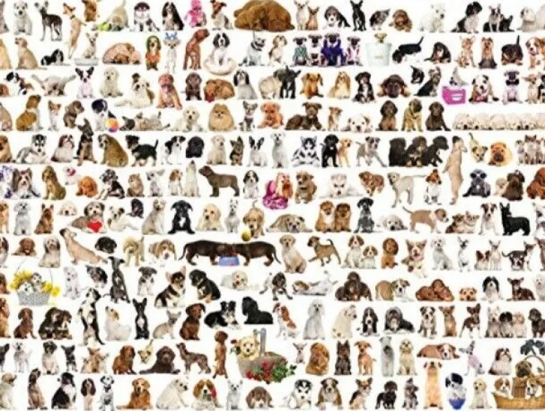 The World of Dogs Puzzel (1000 stukjes)