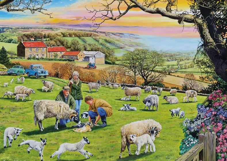 Trevor Mitchell - Call the Vet Puzzel (4x500 stukjes)