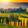 Tuscany Sunset Puzzel (1000 stukjes)