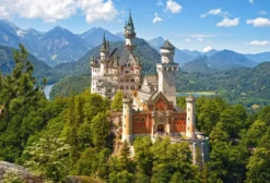 View of the Neuschwanstein Castle, Germany Puzzel (500 stukjes)