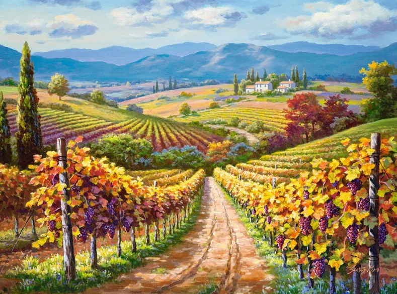 Vineyard Hill Puzzel (3000 stukjes)