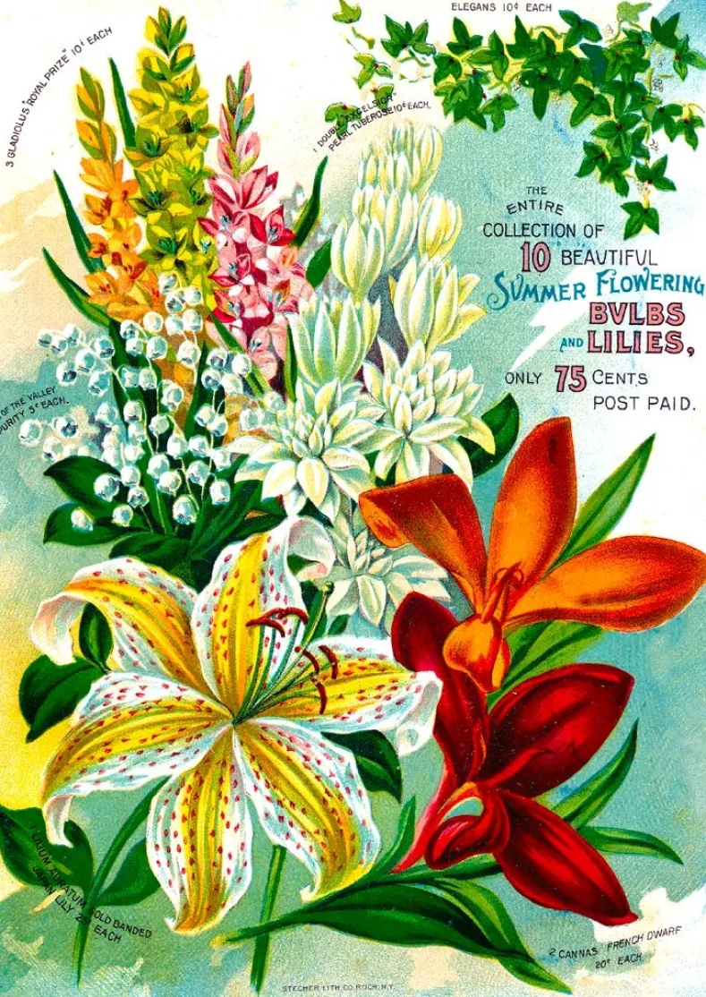 Vintage Flower Catalog Art Puzzel (1000 stukjes)