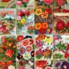 Vintage Flower Seed Catalog Collage Puzzel (1000 stukjes)