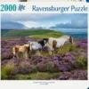 Wild Horses in the Heather Puzzel (2000 stukjes)