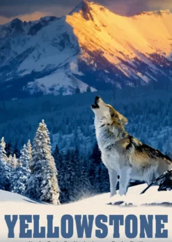 Yellowstone Wolf Puzzel (500 stukjes)