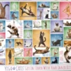 Yoga Cats Puzzel (1000 stukjes)
