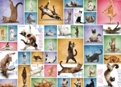 Yoga Cats Puzzel (1000 stukjes)