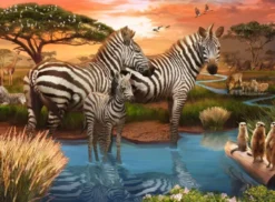 Zebra´s bij de drinkplaats Puzzel (500 stukjes)