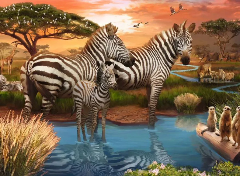 Zebra´s bij de drinkplaats Puzzel (500 stukjes)